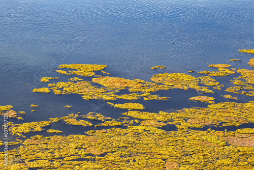 Landscape view of Parque Natural da Ria Formosa near Faro, Portugal