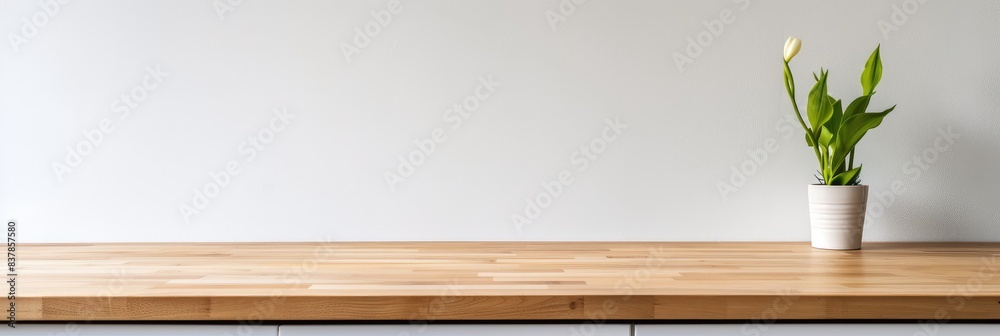 Minimalist Workspace with Green Potted Plant Minimalist Workspace with Green Potted Plant
