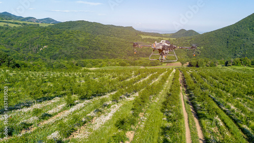 Agricultural drone spraying orchard rows