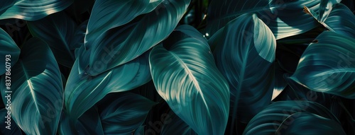 Lush Green Tropical Leaves Background Texture