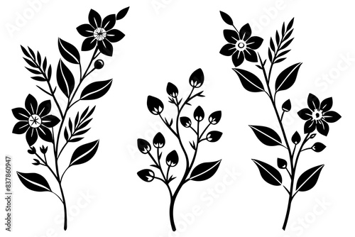 floral branch silhouette vector illustration