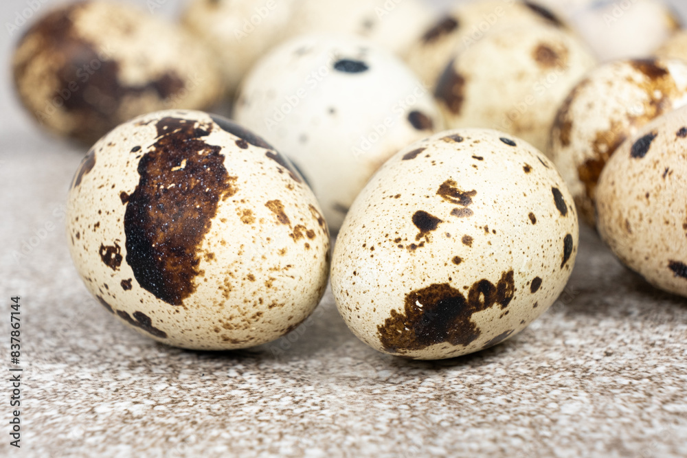Quail eggs close-up on a gray background. Quail eggs close-up on a gray background.