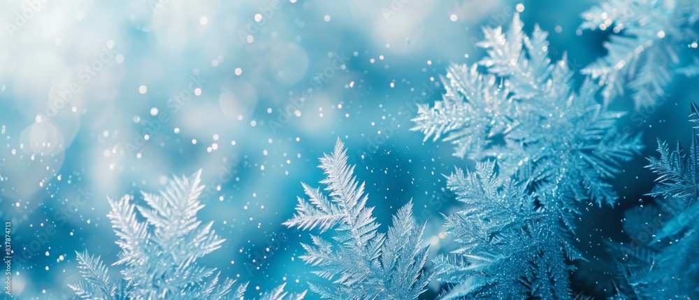 Close-up of frost patterns on a windowpane, Close-up of frost patterns on a windowpane,