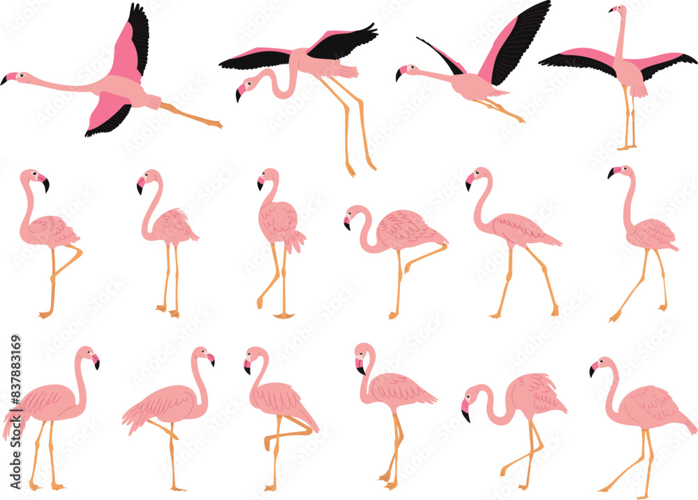 Obraz premium set of pink flamingos in flat style, vector