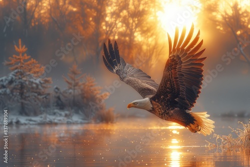 Majestic bald eagle soars over misty lake at sunrise, surrounded by frosty trees and illuminated by golden sunlight. photo