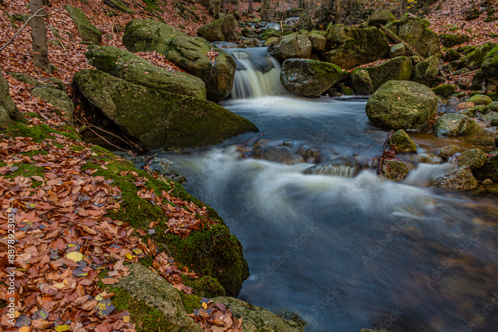 fresh forest creek on autumn in Jizera mountains fresh forest creek on autumn in Jizera mountains