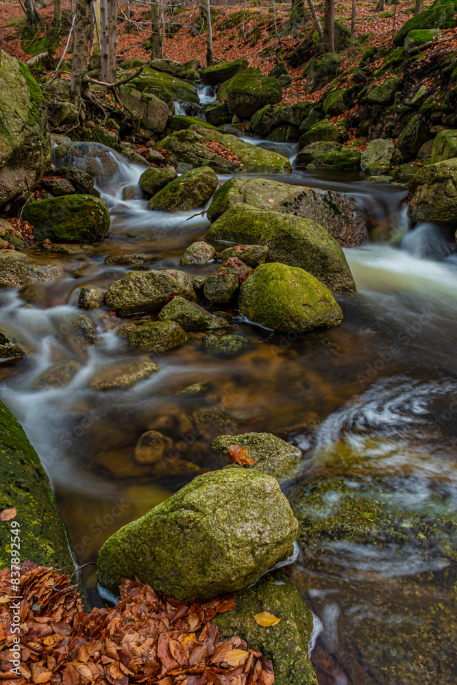 fresh forest creek on autumn in Jizera mountains fresh forest creek on autumn in Jizera mountains