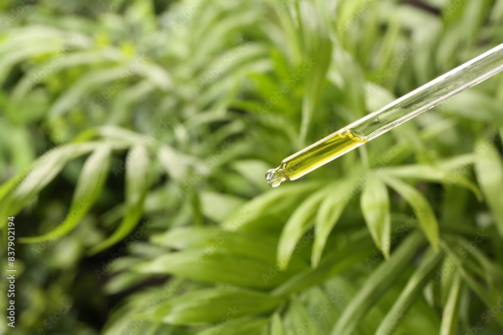 Dripping essential oil from pipette outdoors, closeup. Space for text Dripping essential oil from pipette outdoors, closeup. Space for text