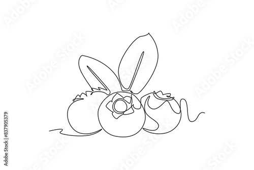 Single continuous line drawing whole healthy organic blueberries for orchard logo identity. Fresh blue berry fruitage concept for fruit garden. Dynamic one line draw graphic design vector illustration