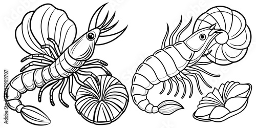 Shrimp isolated on white background. For kids coloring book.