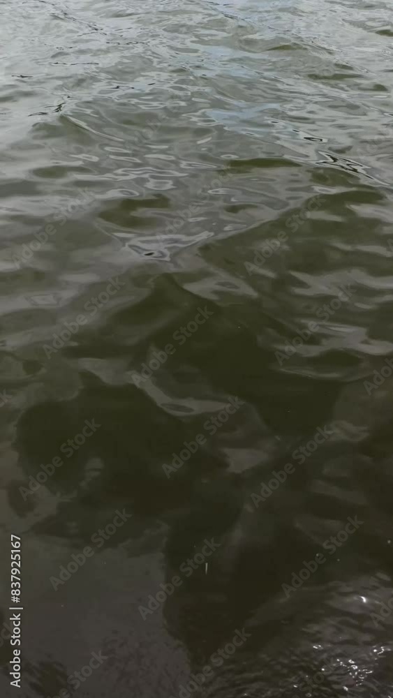 wave pattern wave pattern