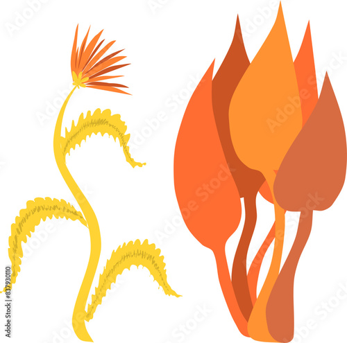 several strange yellow orange stylized plants on a transparent background. Vector illustration
