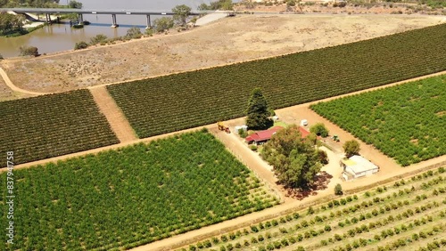 Wachtels lagoon on Murray river in South Australia – aerial flying landscape as 4k.
 photo