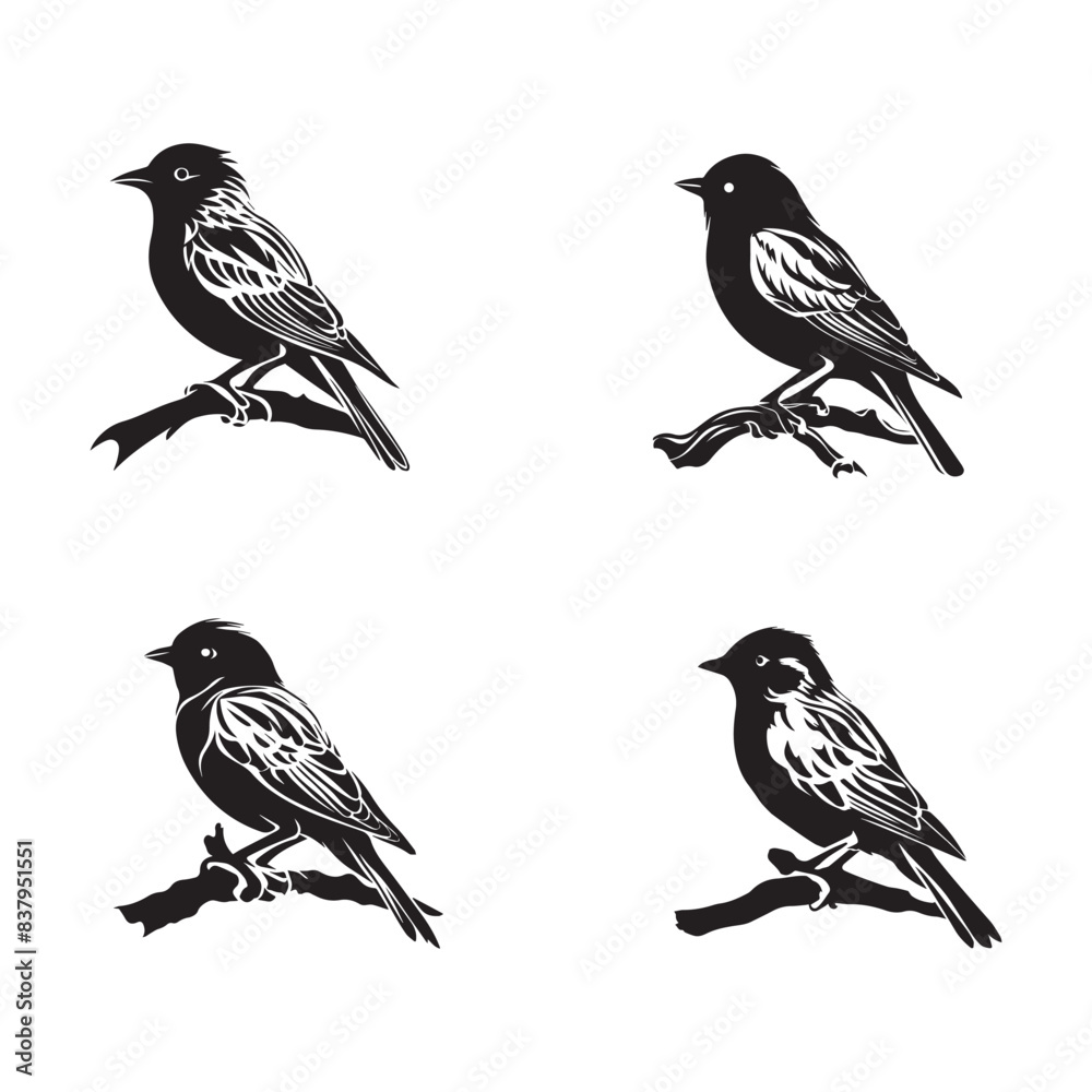 Fototapeta premium Collection Set of bird silhouettes. Vector illustration.