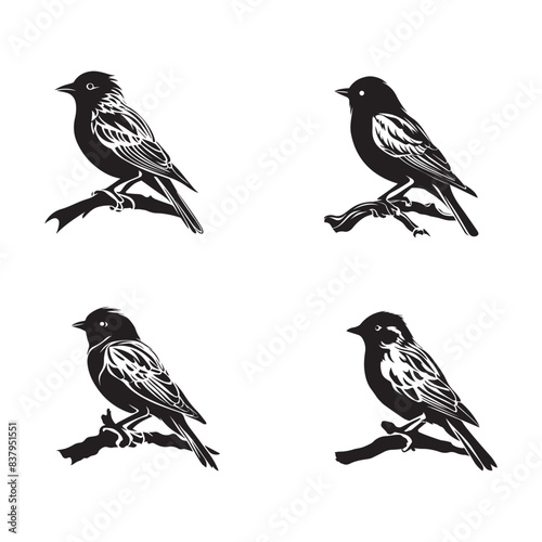 Collection Set of bird silhouettes. Vector illustration.