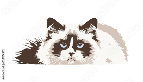 Simple and modern 2D vector graphic design illustration of Birman cat in stencil print style on white background © Goodwave Studio
