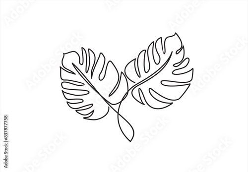 Continuous line vector illustration of monstera leaf on white background. Stroke Line, Icon or Emblem trendy linear style.