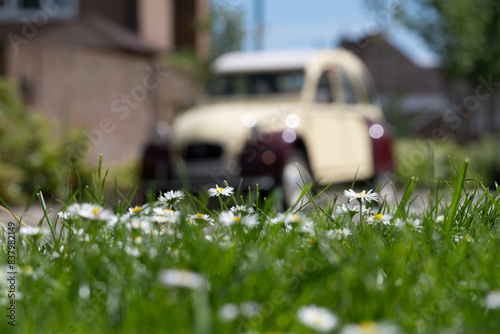 Vintage Charm: Rediscovering Classic Automobiles in the Open Sky
