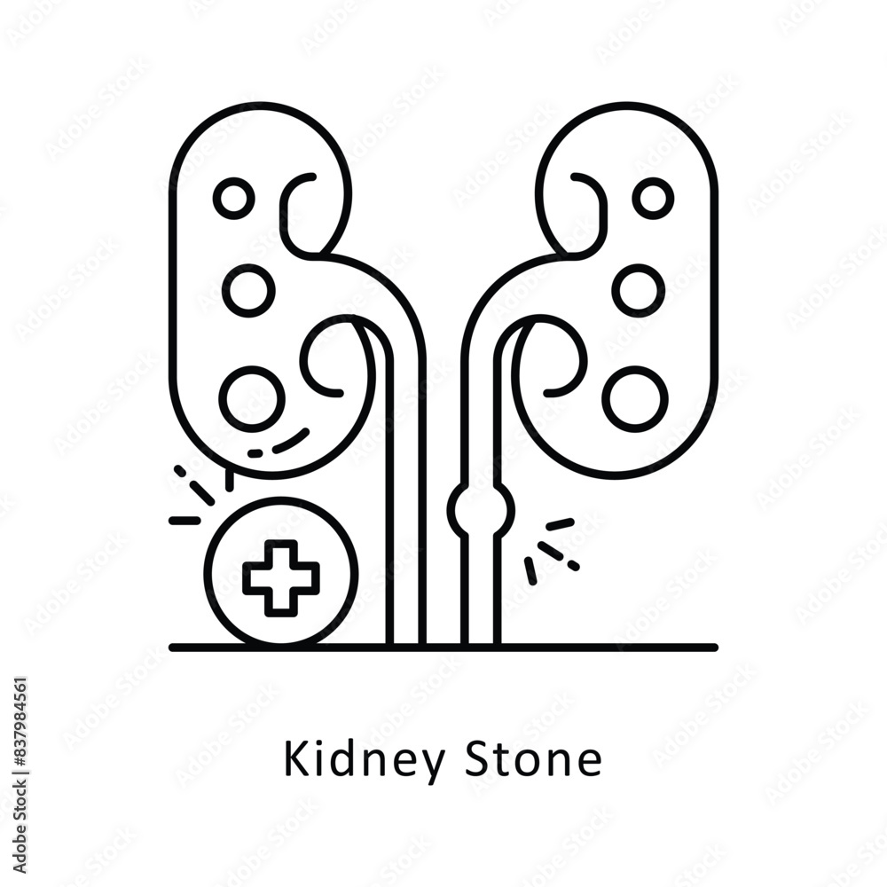 Kidney Stone vector outline icon style illustration. Symbol on White background EPS 10 File