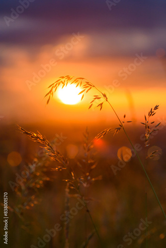 Zachód słońca w Bielsku-Białej - bokeh gradient   photo