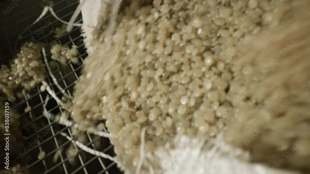 Pouring huge amounts of white plastic pellets through the metal mesh grate. Using a grate to process the recycled plastic pellets material. Pushing the plastic pellets into container through a grate. Pouring huge amounts of white plastic pellets through the metal mesh grate. Using a grate to process the recycled plastic pellets material. Pushing the plastic pellets into container through a grate.