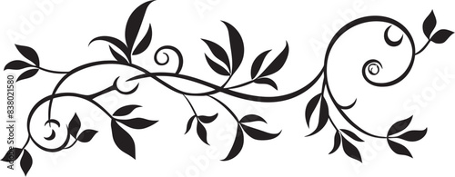 Classic Divider Line Vector Art Artistic Flourish Victorian Era Floral Icon Design Vintage Elegance