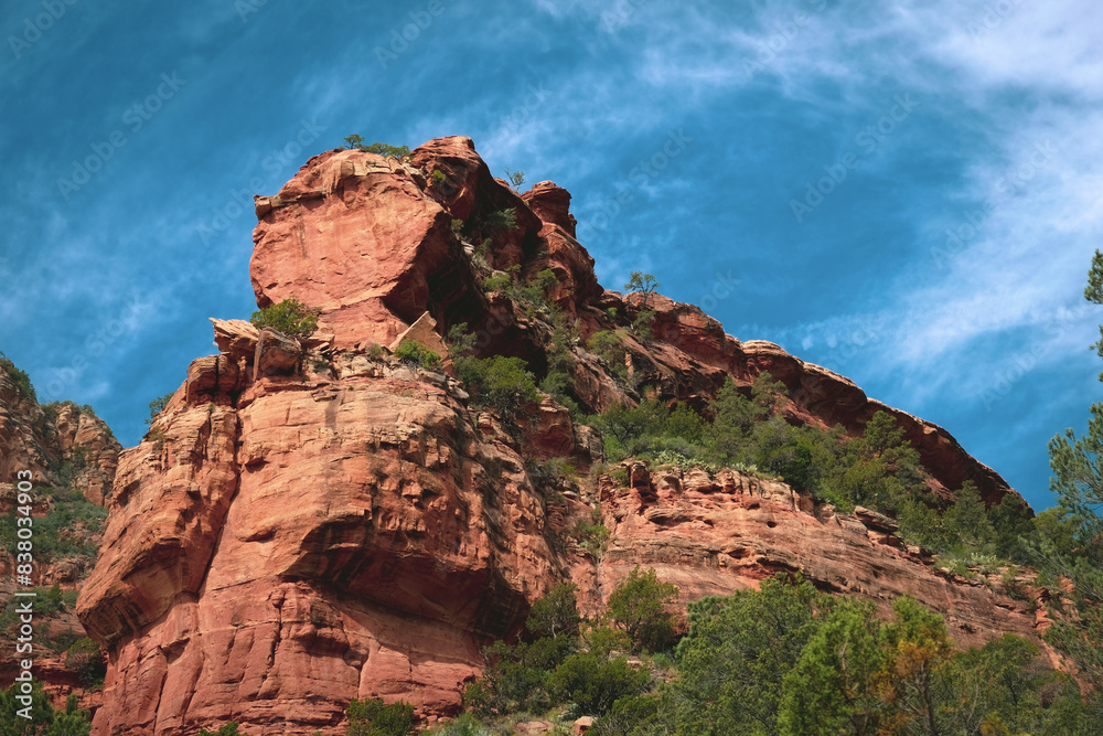 Fototapeta premium Sheer cliff in Fay Canyon at Sedona, Arizona