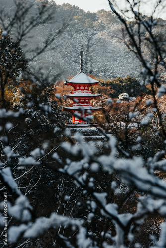 View of Kiyomizudera Koyasunoto Pagoda surrounded by lush trees in winter. Kyoto, Japan photo