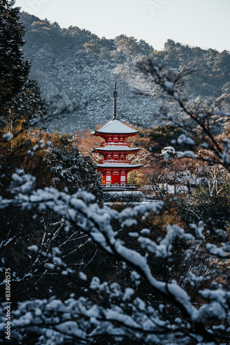 View of Kiyomizudera Koyasunoto Pagoda surrounded by lush trees in winter. Kyoto, Japan photo