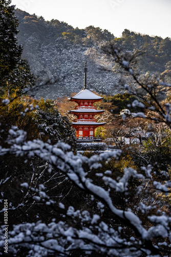 Wallpaper Mural View of Kiyomizudera Koyasunoto Pagoda surrounded by lush trees in winter. Kyoto, Japan Torontodigital.ca