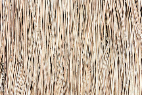 texture of straw