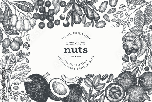 Hand Drawn Nuts Branch And Kernels  Template. Organic Seed Vector Design. Retro Nut Illustration. Engraved Style Botanical Banner.