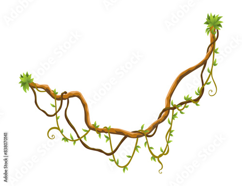 Twisted wild lianas branches banner. Jungle vine plants. Woody natural tropical rainforest, exotic botany. Woody natural branches