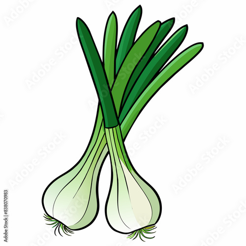 onion vegetable  vector illustration svg file