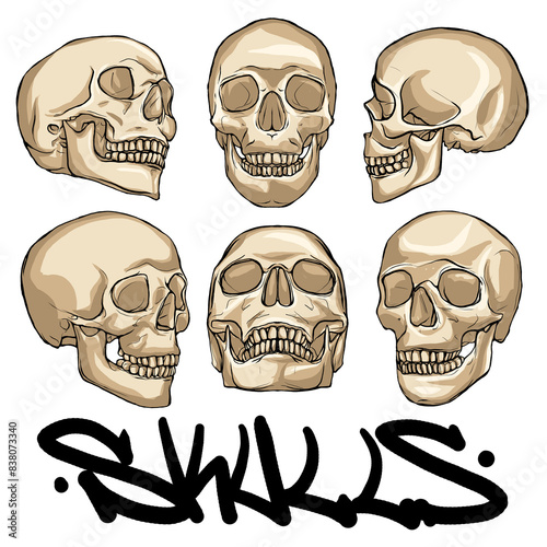 death skulls head hand drawn cartoon illustration abstract design pen drawing digital painting flat colors photo