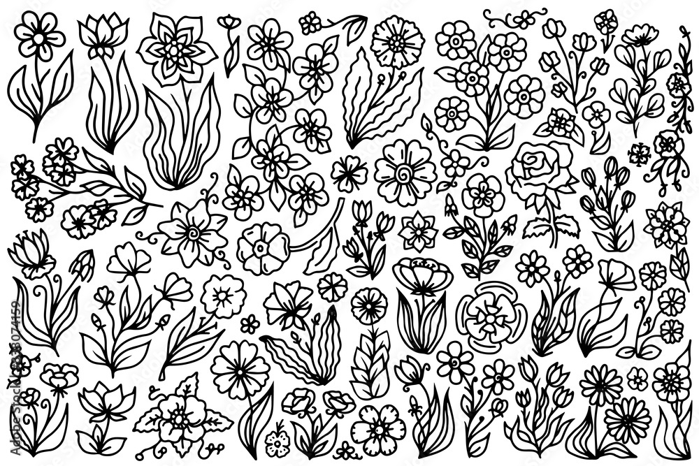 Fototapeta premium Line art floral set, hand drawn flower design elements. flowers with leaves contour drawings.