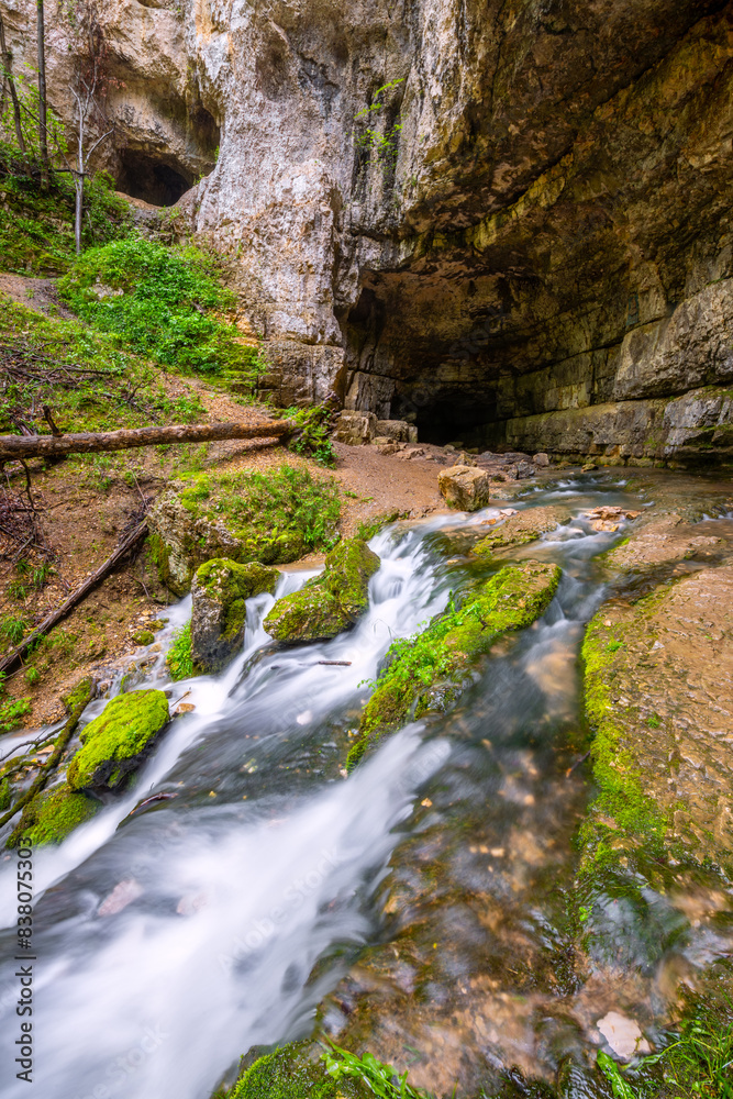 Waterfall in front of the huge portal of “Falkensteiner Höhle” (Falkenstein cave) near Bad Urach (Germany). Karst spring during flood in May from an underground passage under “Schäbische Alb” plateau. Waterfall in front of the huge portal of “Falkensteiner Höhle” (Falkenstein cave) near Bad Urach (Germany). Karst spring during flood in May from an underground passage under “Schäbische Alb” plateau.