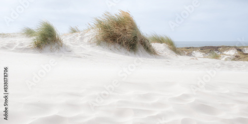 Sand dunes on the beautiful white beach at Dueodde in Bornholm, Denmark.