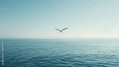 A lone seagull flying over a calm ocean with a horizon barely visible in the background