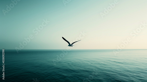 A lone seagull flying over a calm ocean with a horizon barely visible in the background © mittpro