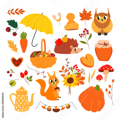 Hello autumn elements. Fall food and forest plants, cartoon owl hedgehog and squirrel. Teapot mushroom bouquet and umbrella, nature classy vector clipart