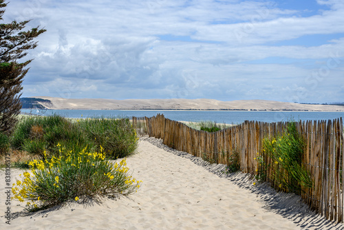 Fototapeta Naklejka Na Ścianę i Meble -  CAP FERRET (bassin d'Arcachon, France). La pointe de la presqu'île, en face de la dune du Pilat