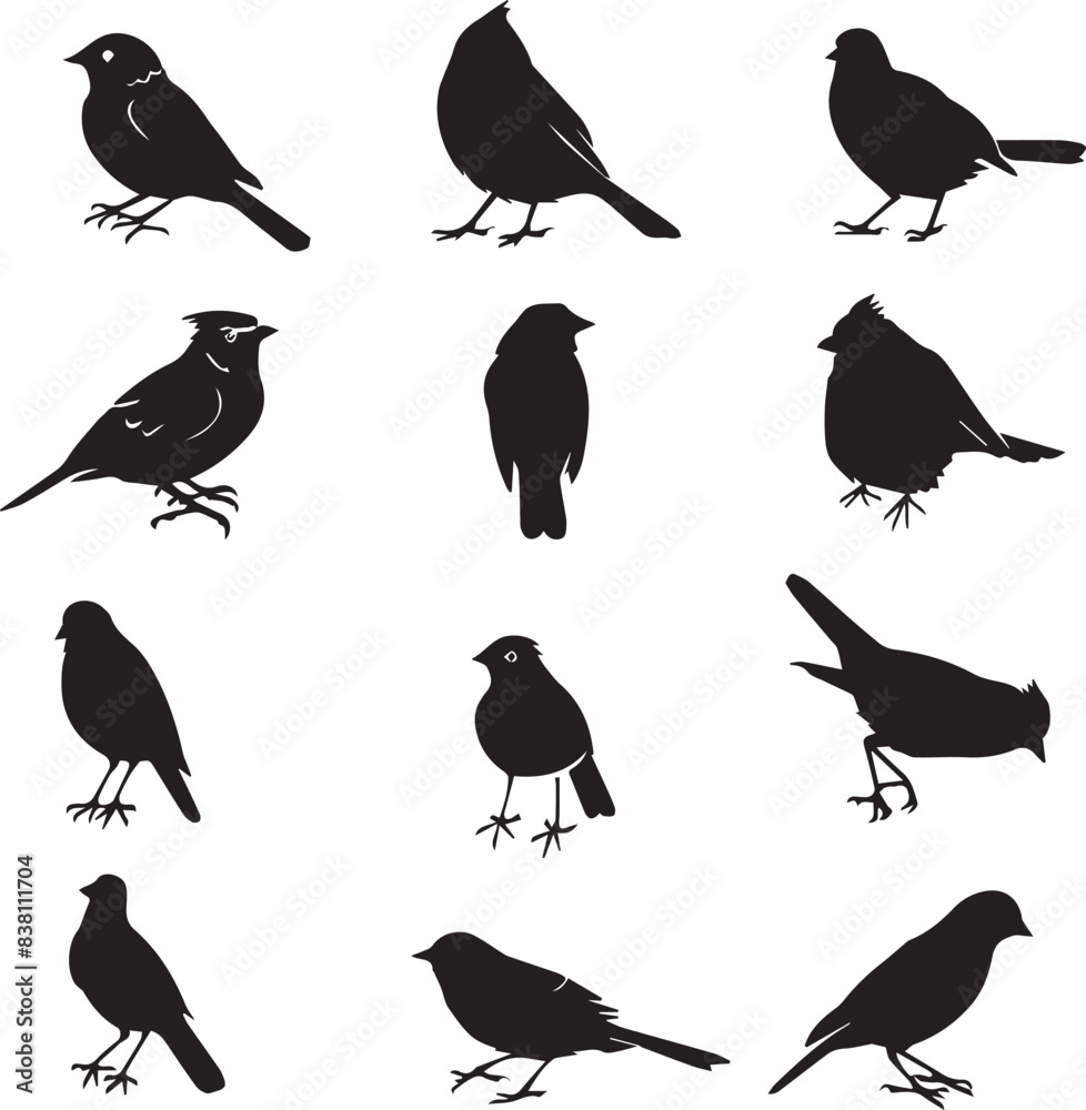 Fototapeta premium birds on a branch silhouette