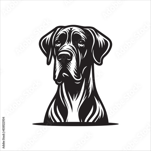 Great Dane dog, vector illustration, silhouette