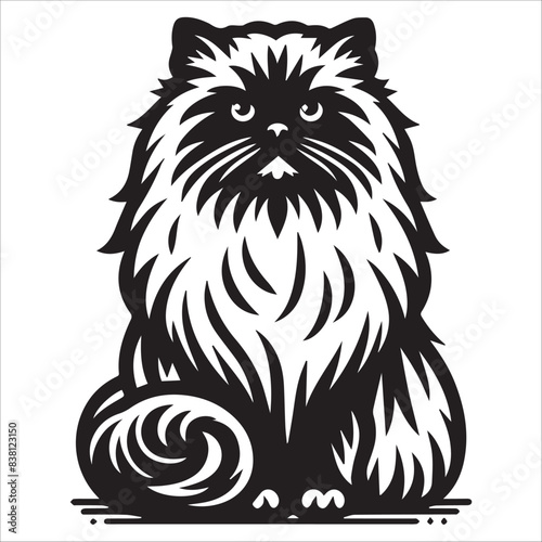 Himalayan Cat, vector illustration, silhouette