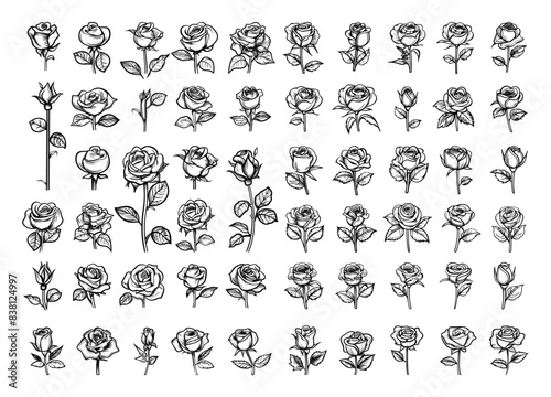 Hand-Drawn Rose Flowers. Set of Doodle Line Rose Flower Icons in Simple Style on White Background. Floral Illustrations, Botanical Sketches, Romantic Floral Elements, Nature Drawings