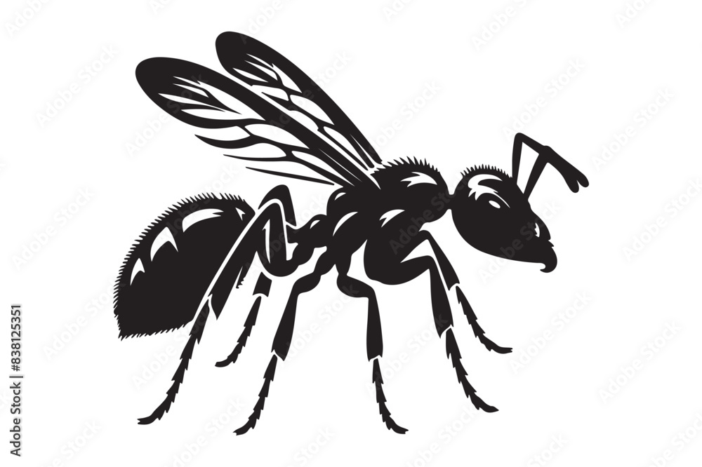 Ant silhouette vector illustration Ant silhouette vector illustration
