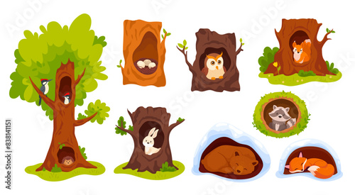 Animals inside hollows. Forest animal in hollow hole tree wood natural house or home burrow, cute woodpecker adorable fox squirrel bird nest