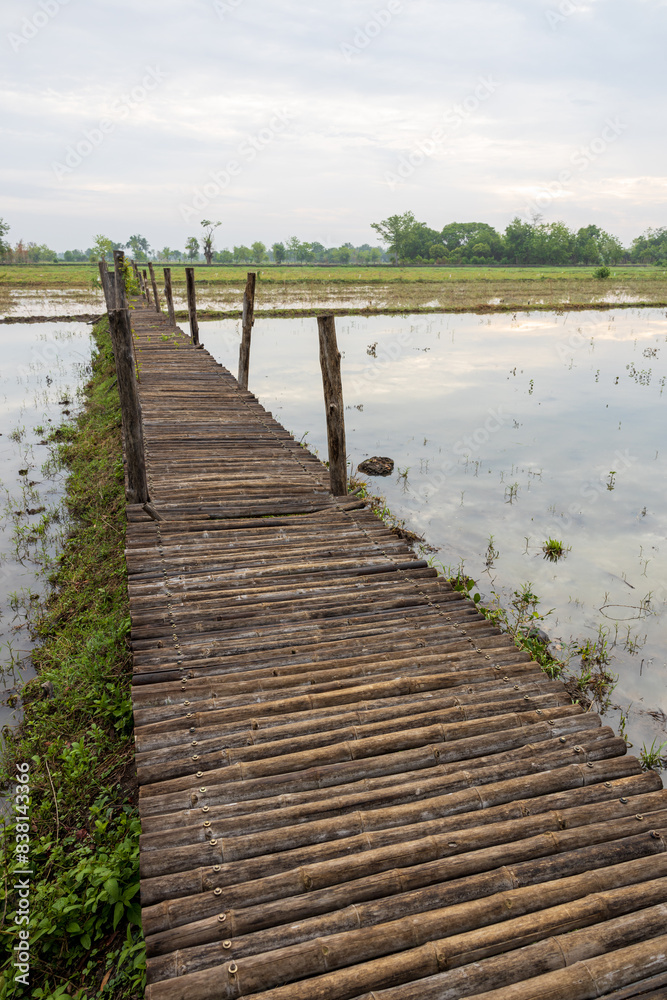 Fototapeta premium Scenery of a long decaying bamboo bridge stretching across agricultural land.