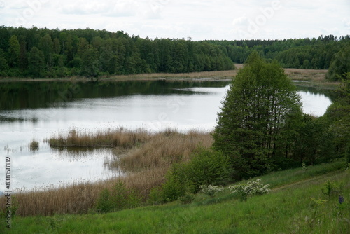 Fototapeta Naklejka Na Ścianę i Meble -  Lake in forest - Masuria, Poland